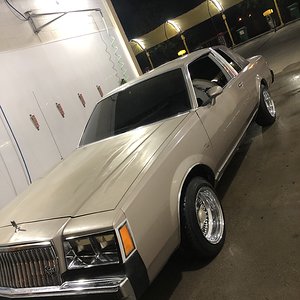 83 regal limited tinted