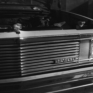 Media '_MG_6023.jpeg' in album '1981 El Camino B&W Photoshoot'