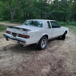 Media '1984 Buick Regal limited' in category '2025 GBodyForum Calendar Submissions'