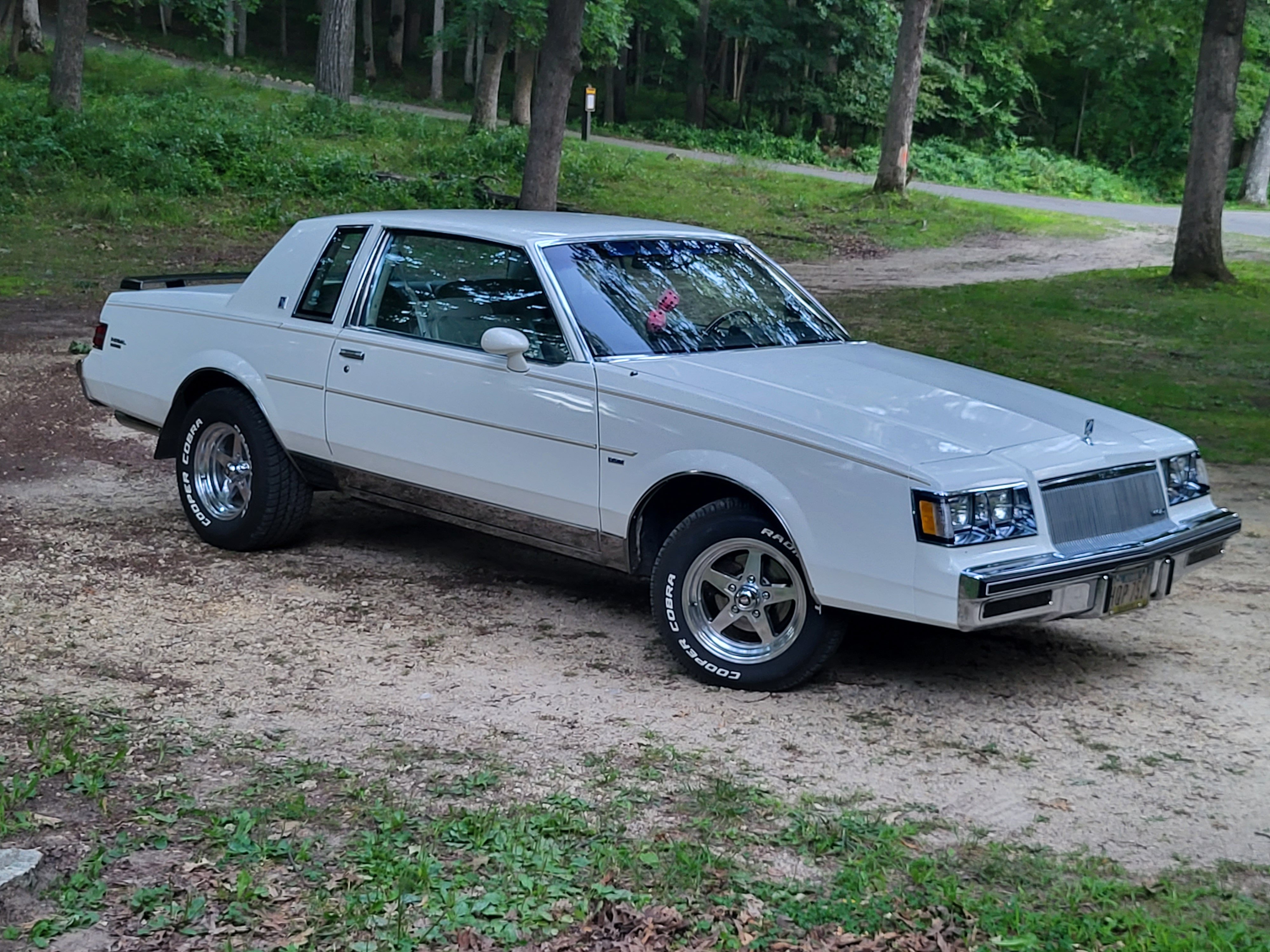 1984 Buick Regal limited