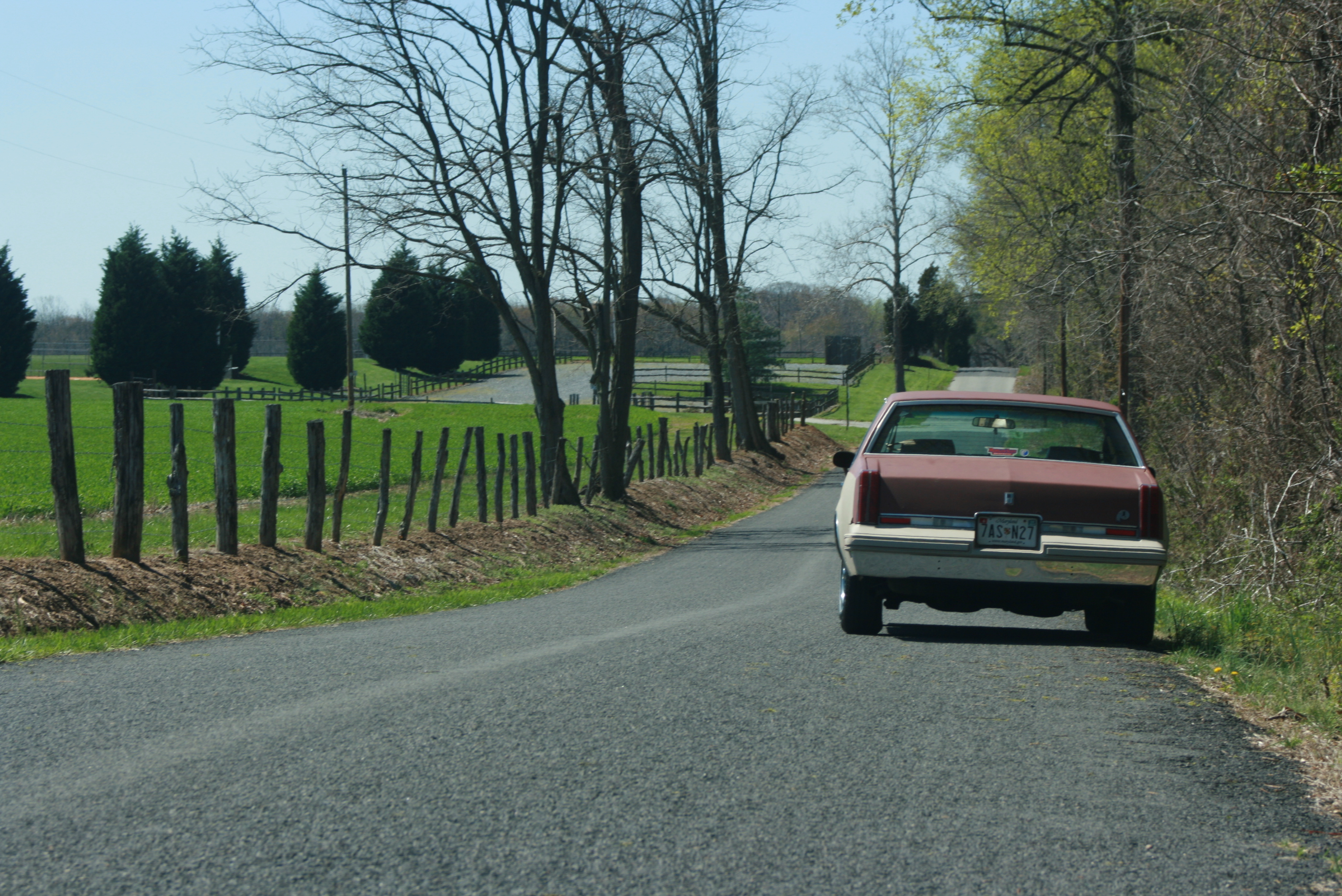 82 cutlass