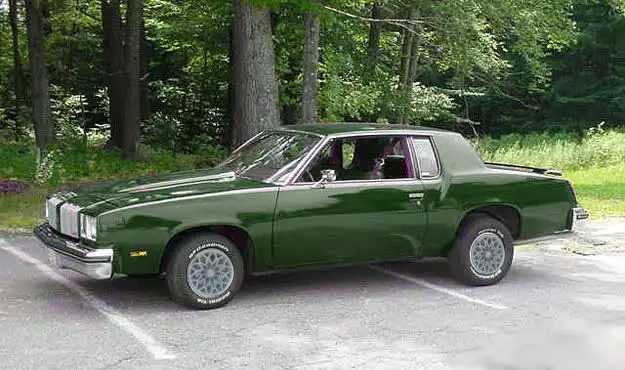 greencutlass.jpg