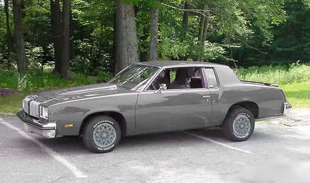 greycutlass.jpg