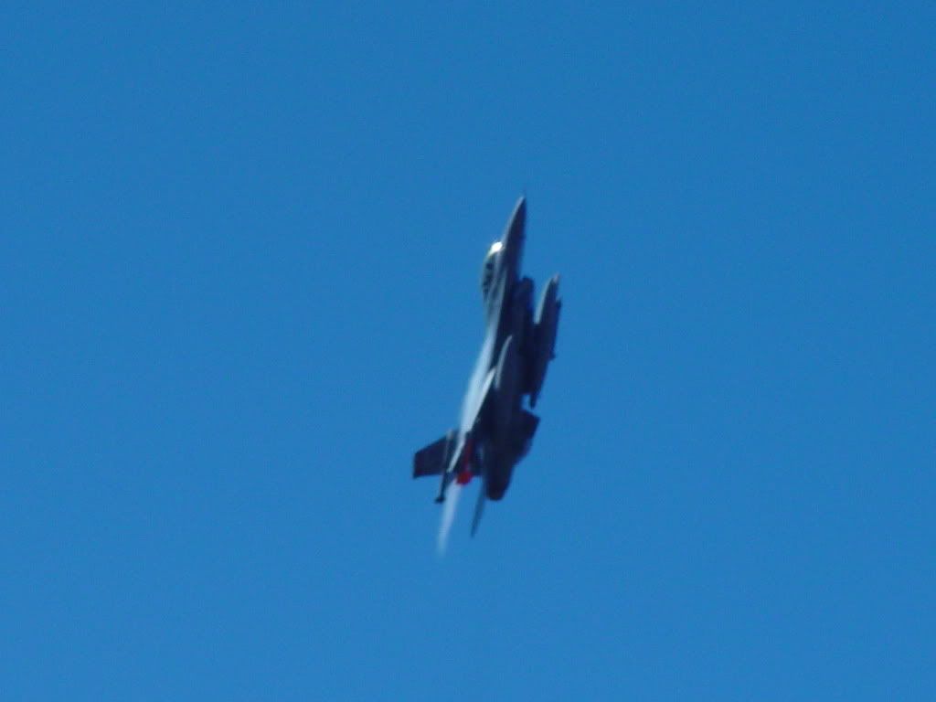 F16005.jpg