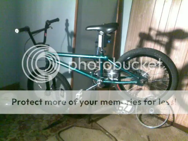 bike06.jpg