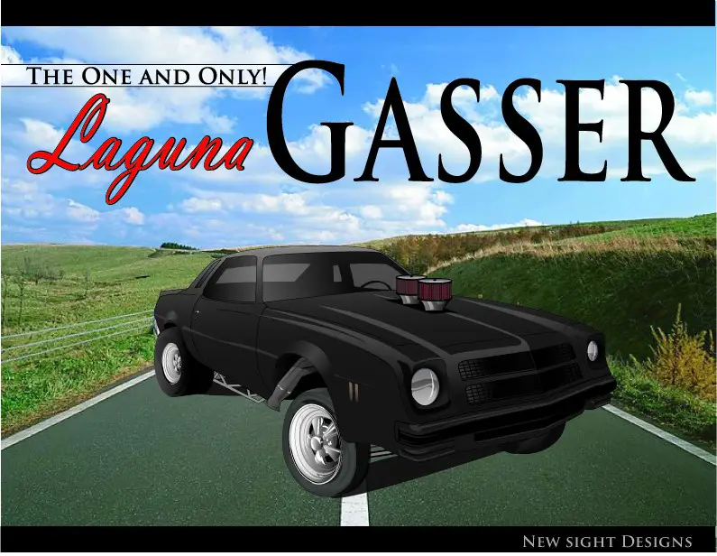 gasser13.jpg