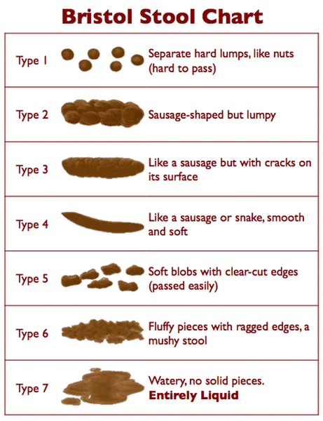 bristol_stool_chart_grande.gif