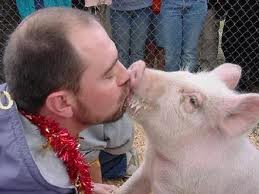 Pig+Kiss.jpg