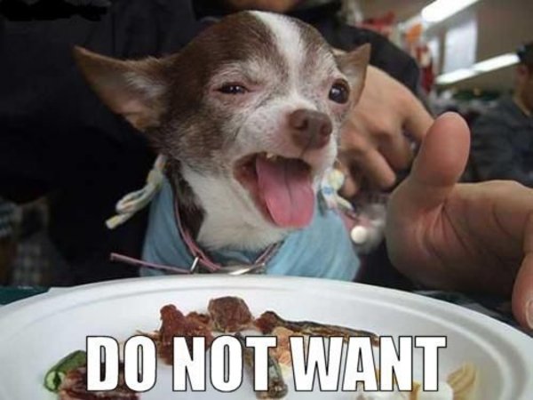 Do_Not_Want_Dog_(1).jpg