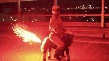 horse fireworks GIF
