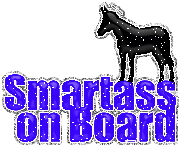 tumblr_static_smartass_on_board.gif