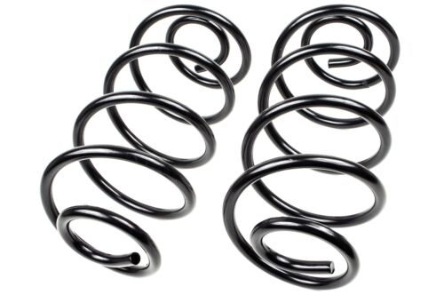 For 1978-1981 Oldsmobile Cutlass Supreme Coil Spring Set Rear 640JH38 1979 1980