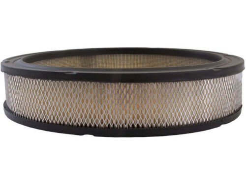 For 1978 Oldsmobile Cutlass Calais Air Filter AC Delco 92549JJ