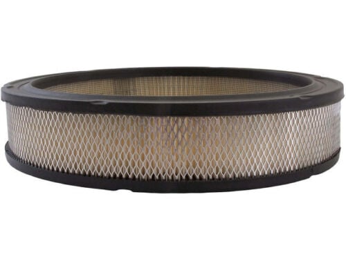 For 1978 Oldsmobile Cutlass Supreme Air Filter AC Delco 93979FZ