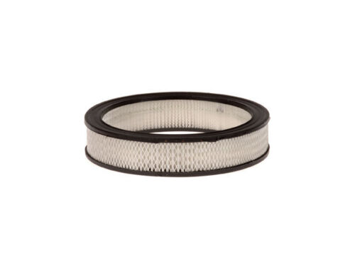 For 1978 Oldsmobile Cutlass Salon Air Filter 38813ZM Air Filter